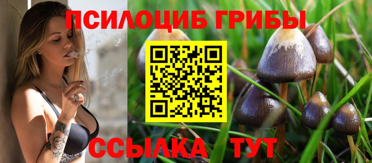 Псилоцибиновые грибы Psilocybine cubensis  Галлюциногенные грибы MAGIC MUSHROOMS  Вход с VPN  Сальск 